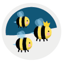The bees